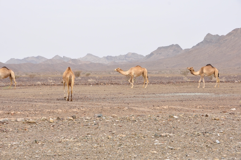 ulubiony moment maksa