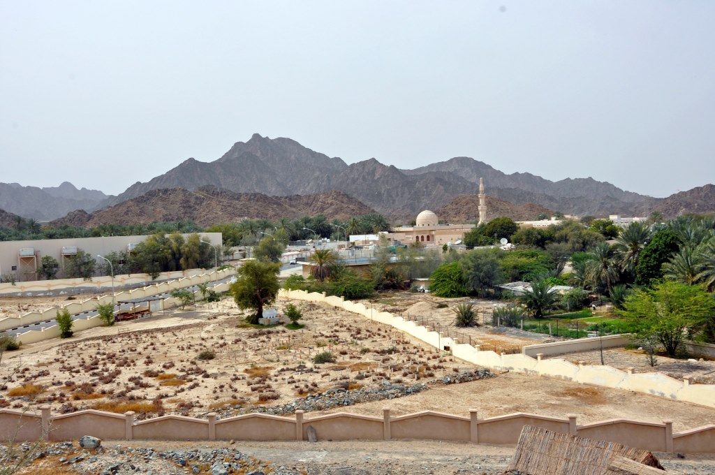 pustynnie i egzotycznie