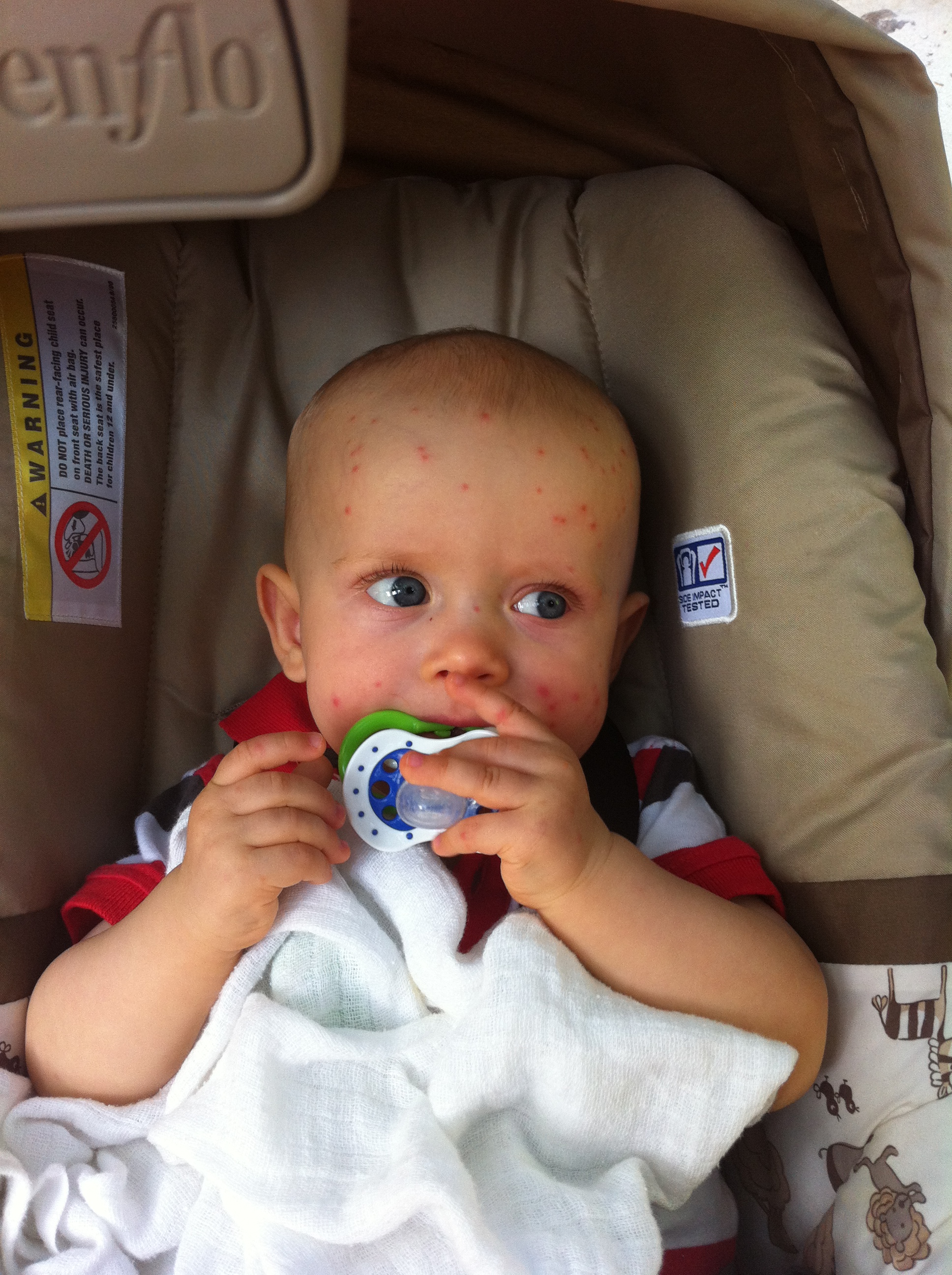 podróżowanie z dzieckiem, meksyk, komary