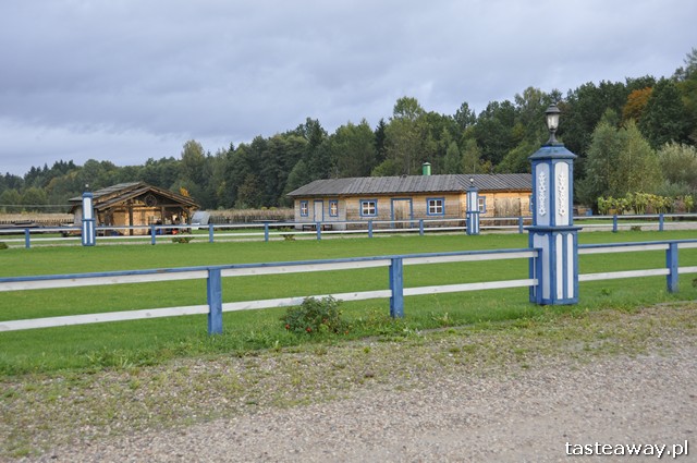 Białowieża, Sioło Budy