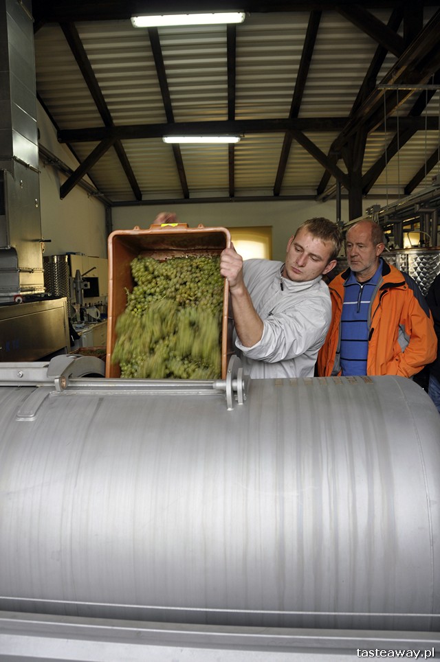 winobranie, Pałac Mierzęcin