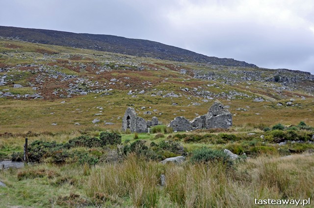 Wicklow, Irlandia