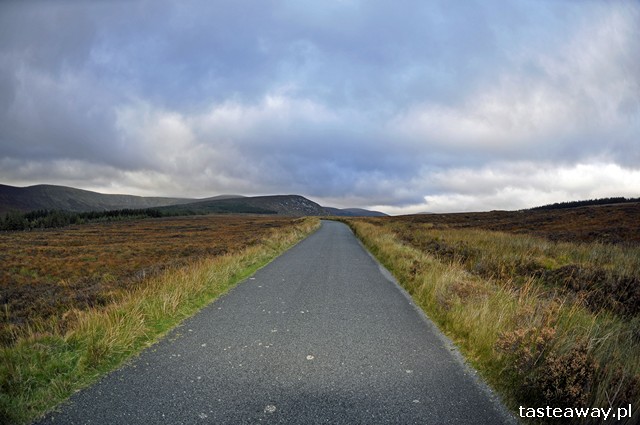 Wicklow, Irlandia