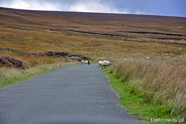 Irlandia, Wicklow