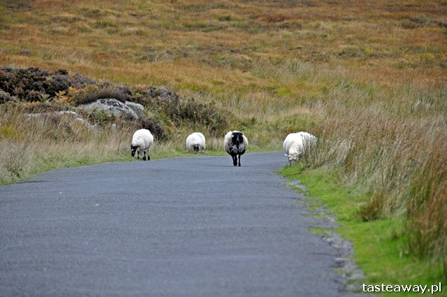 Dublin, Irlandia, góry Wicklow