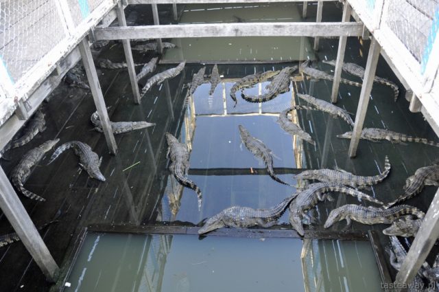 Kambodża, Siem reap, Tonle Sap, Chong Kneas, pływające wioski