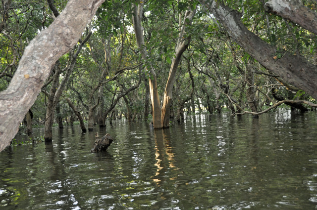 Kambodża, Siem Reap, pływające wioski, Kompong Phluk, Tonle Sap