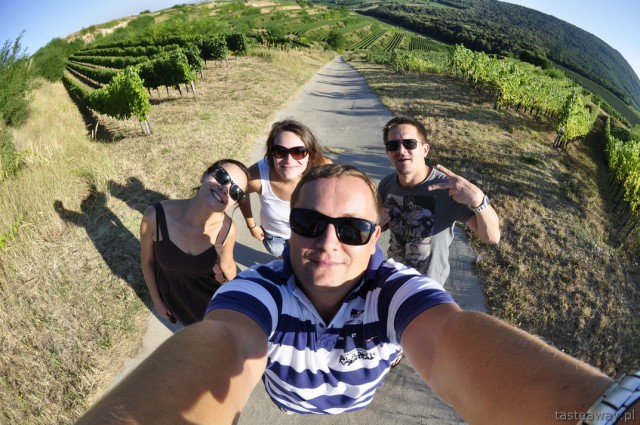 Villany, Węgry, wino