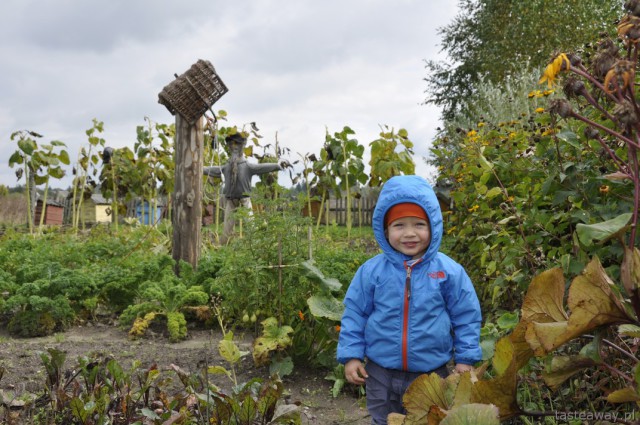 Białowieża, Sioło Budy