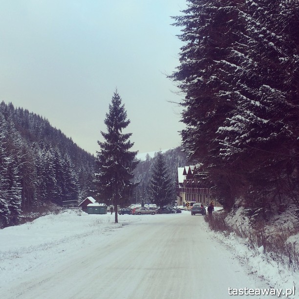 Wierchomla, Wierchomla Ski & Spa Resort, narty, narty w Polsce, narty z dzieckiem