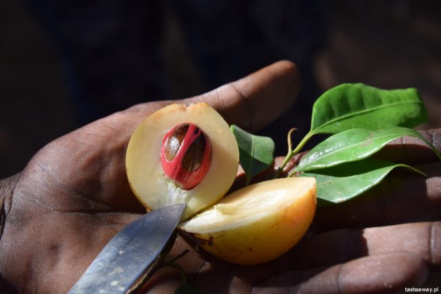 Zanzibar, Afryka, rajskie plaże, gdzie na wakacje, otworzyć się na Afrykę, Africaline
