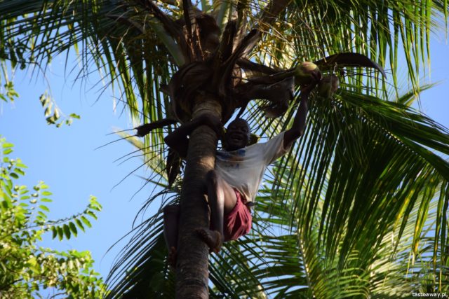 Zanzibar, Afryka, rajskie plaże, gdzie na wakacje, otworzyć się na Afrykę, Africaline, Stone Town