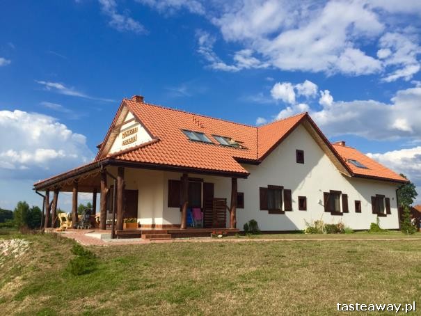 impreza w plenerze, wakacyjna impreza, impreza dla dzieci i dorosłych, jak zorganizować wakacyjną imprezę w plenerze, Mazurska Arkadia