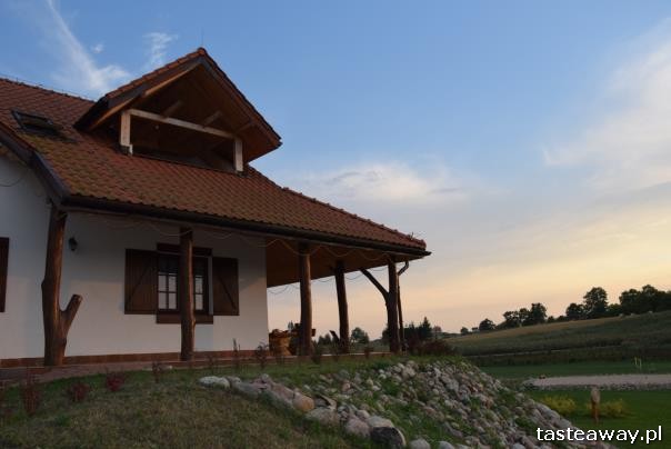 impreza w plenerze, wakacyjna impreza, impreza dla dzieci i dorosłych, jak zorganizować wakacyjną imprezę w plenerze, Mazurska Arkadia