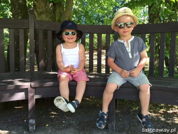 impreza w plenerze, wakacyjna impreza, impreza dla dzieci i dorosłych, jak zorganizować wakacyjną imprezę w plenerze, Mazurska Arkadia, miejsce dla dzieci