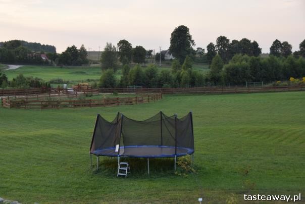 impreza w plenerze, wakacyjna impreza, impreza dla dzieci i dorosłych, jak zorganizować wakacyjną imprezę w plenerze, Mazurska Arkadia, miejsca przyjazne dzieciom, trampolina
