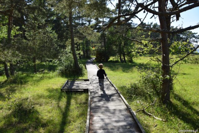 olandia, Szwecja, północ Olandii, Olandia atrakcje