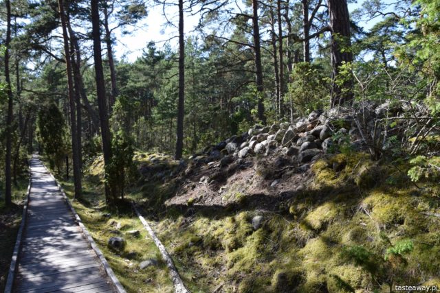 Olandia, Szwecja, Olandia - atrakcje, co zobaczyć na Olandii, Las Trolli, Trollskogen