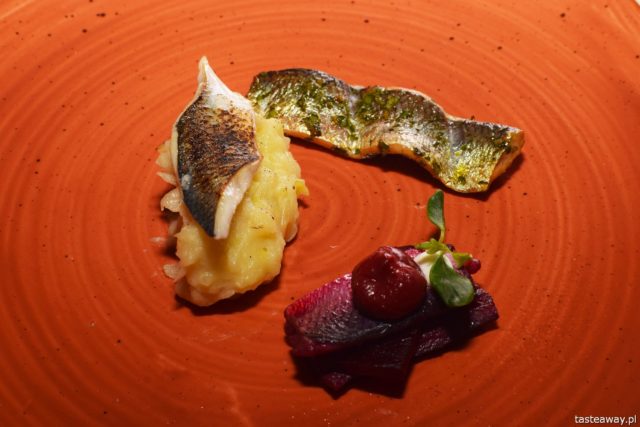 Dinner with a view, Dinner with a view MORZE, kociołek, gotowanie na plaży, Malika, kolacja z widokiem, stolik z widokiem, śledź