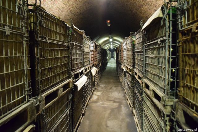 Budapeszt, Budapeszt kulinarnie, atrakcje Budapesztu, co zobaczyć w Budapeszcie, wino, Budafok