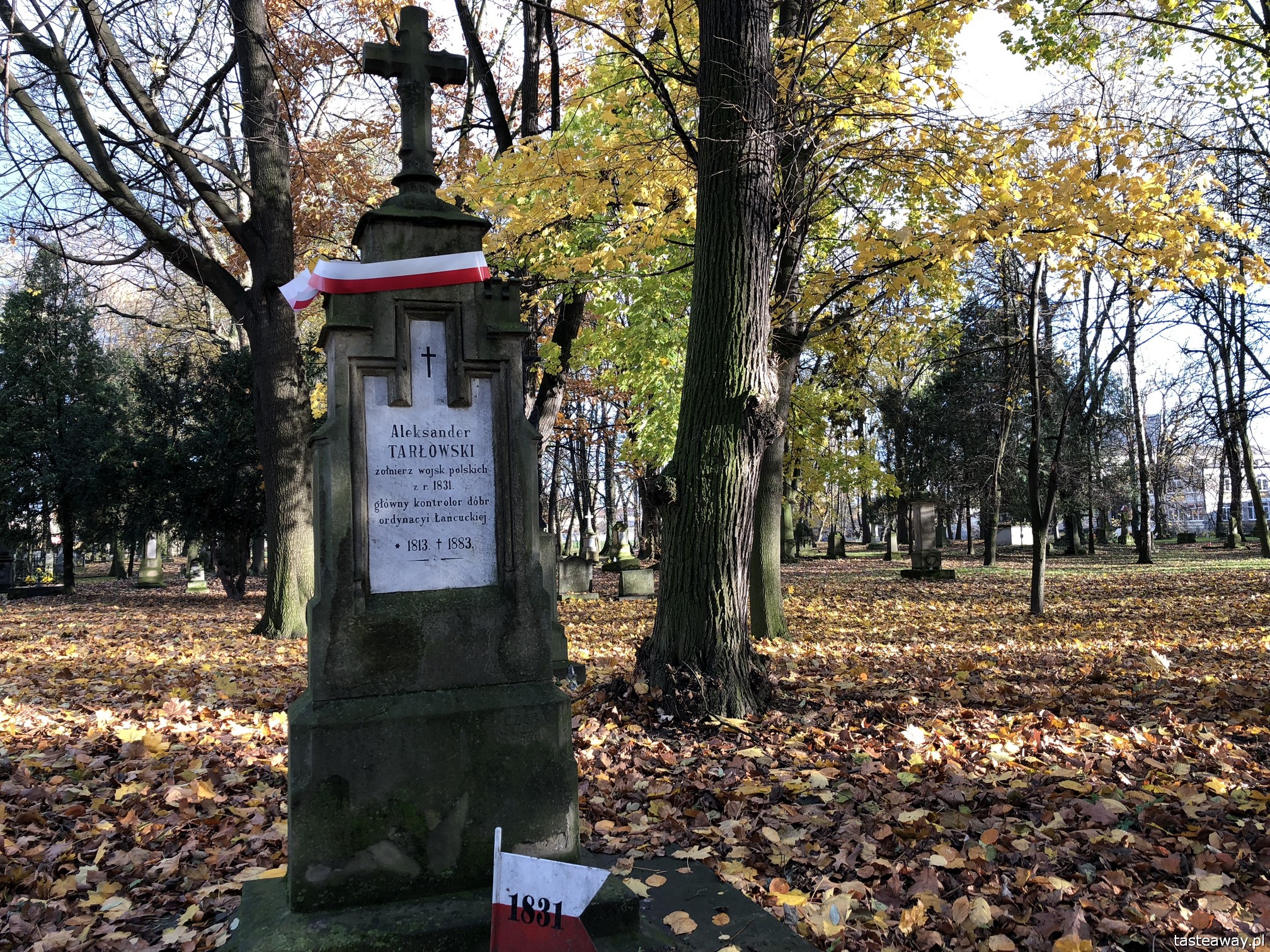 Rzeszów, co zobaczyć w Rzeszowie, Podkarpackie, rynek w Rzeszowie, podróżowanie z dziećmi, Stary Cmentarz
