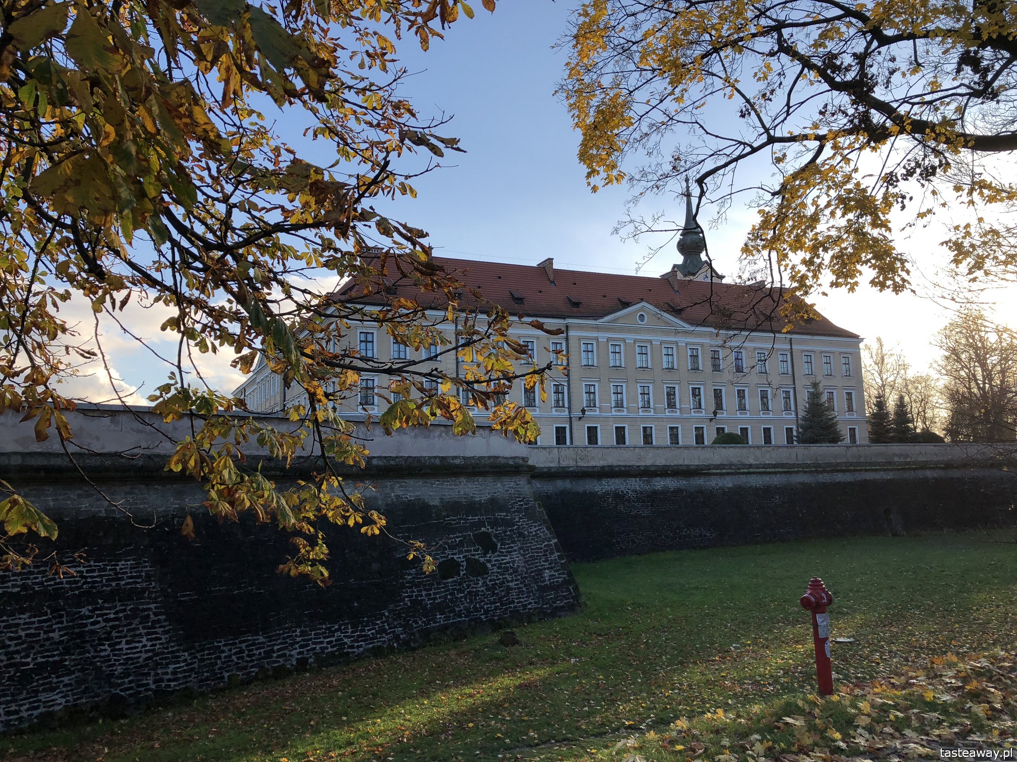 Rzeszów, co zobaczyć w Rzeszowie, Podkarpackie, rynek w Rzeszowie, podróżowanie z dziećmi, Zamek w Rzeszowie