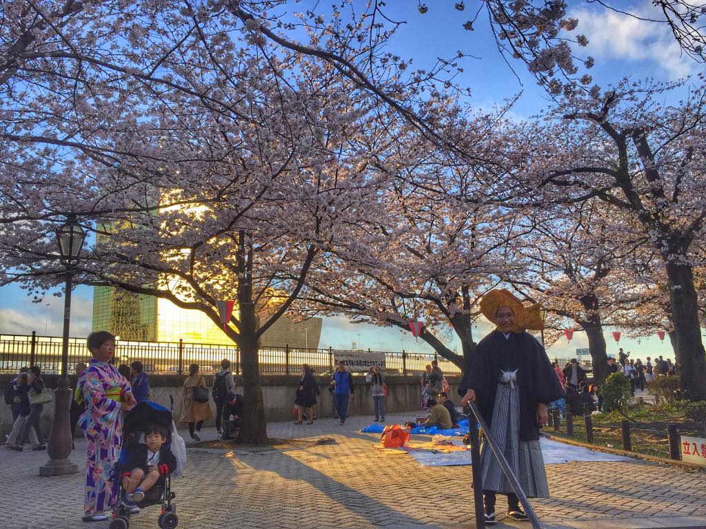 podsumowanie roku, podsumowanie Tasteaway, Japonia, kwitnące wiśnie, święto kwitnących wiśni