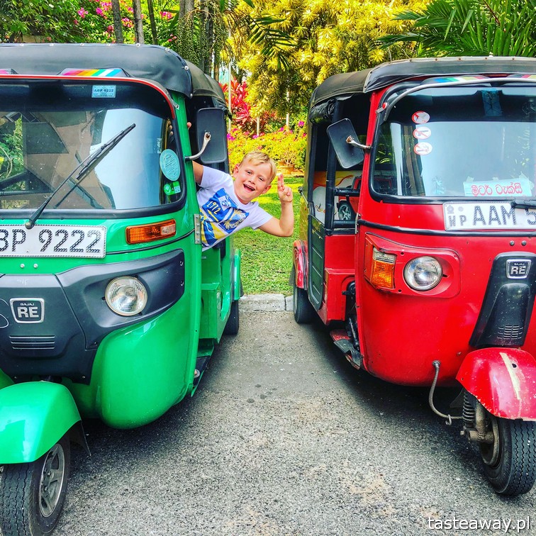 Sri Lanka, Colombo, co zobaczyć na Sri Lance, sari, powody by zobaczyć na Sri Lankę