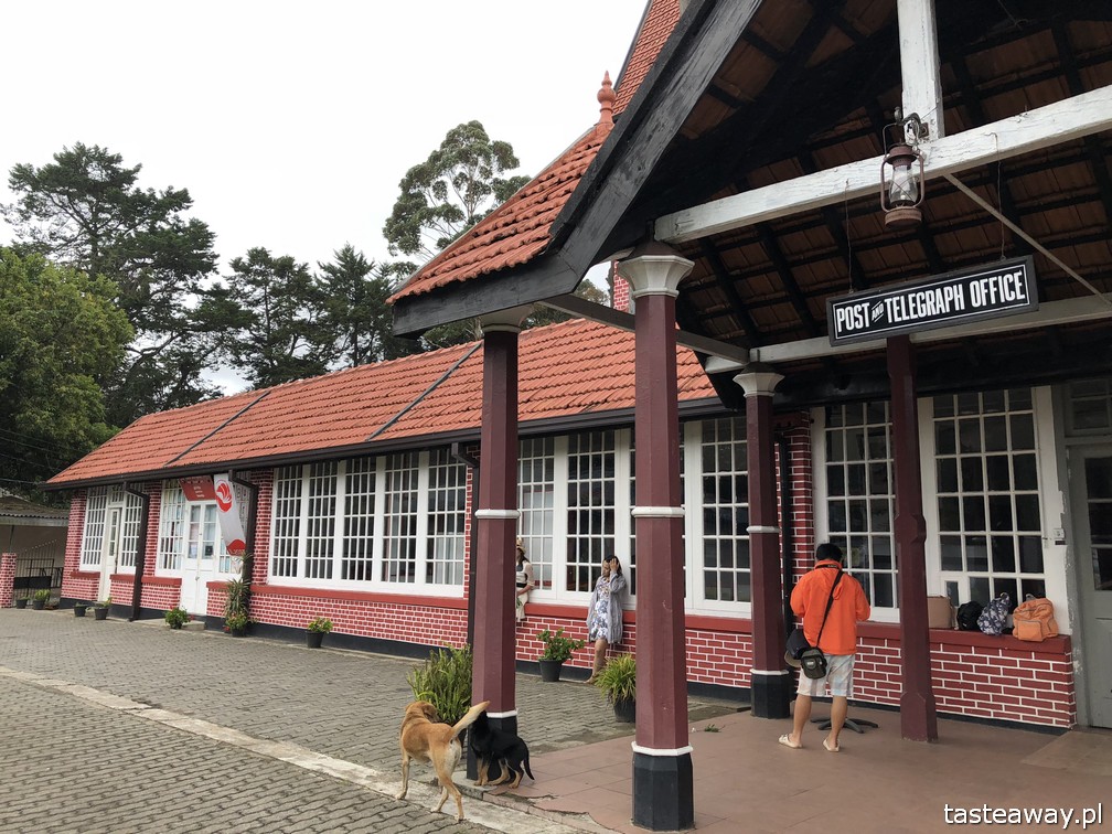 Sri Lanka, Colombo, co zobaczyć na Sri Lance, sari, powody by zobaczyć na Sri Lankę, najpiękniejsze trasy kolejowe, Nanu Oya, Nuwara Elija, plantacje herbaty, Nuwara Elija