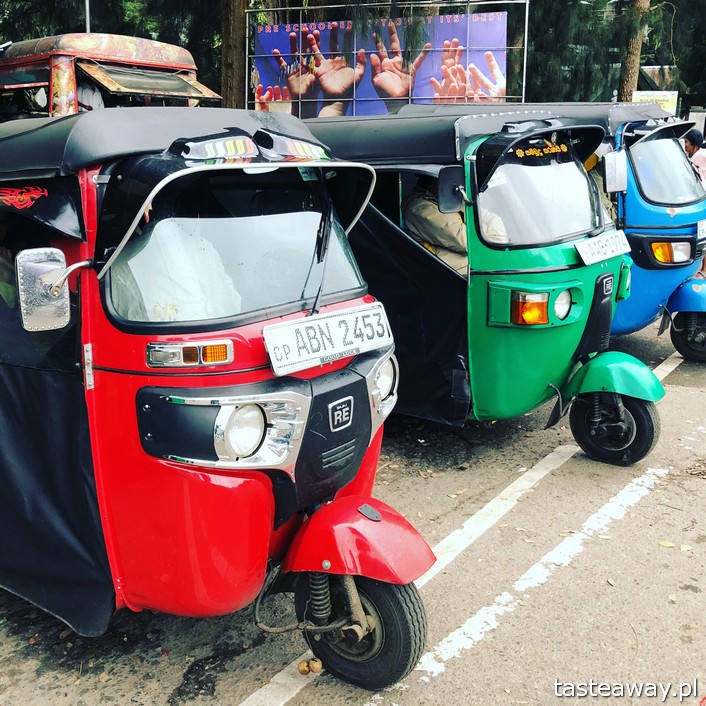 Sri Lanka, Colombo, co zobaczyć na Sri Lance, sari, powody by zobaczyć na Sri Lankę, najpiękniejsze trasy kolejowe, Nanu Oya, Nuwara Elija, plantacje herbaty, Nuwara Elija