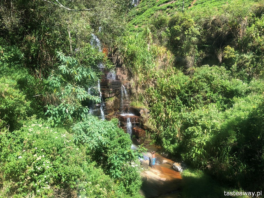 Sri Lanka, Colombo, co zobaczyć na Sri Lance, sari, powody by zobaczyć na Sri Lankę, najpiękniejsze trasy kolejowe, Nanu Oya, Nuwara Elija