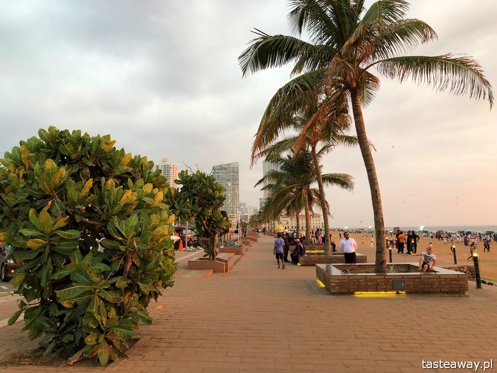 Sri Lanka, Colombo, co zobaczyć na Sri Lance, sari, powody by zobaczyć na Sri Lance