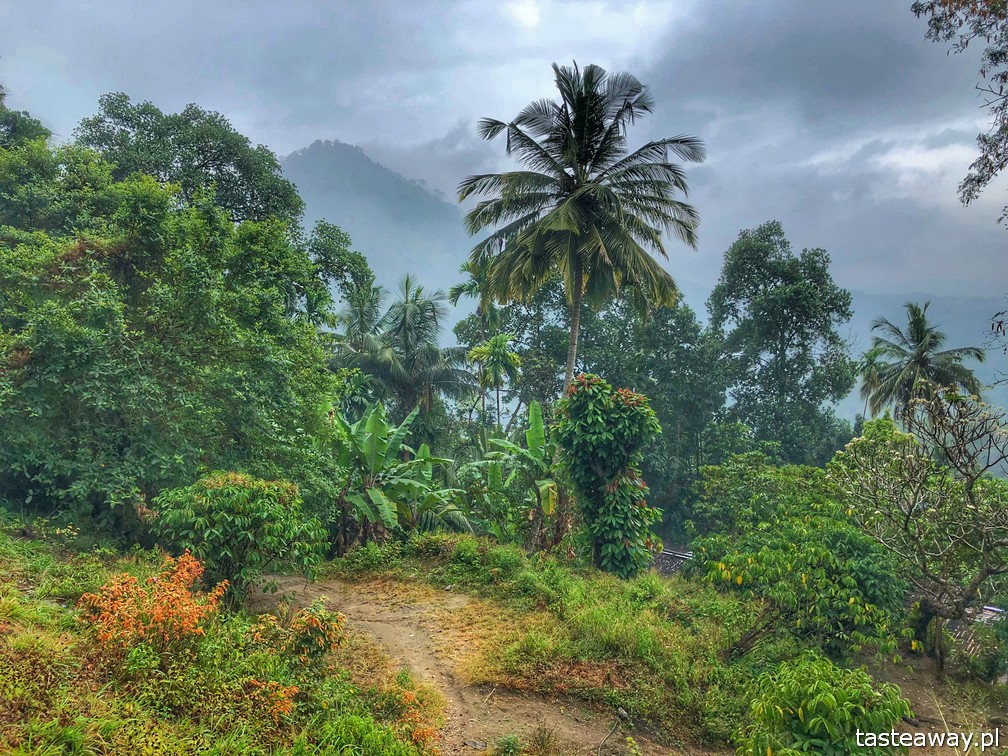 Sri Lanka, Colombo, co zobaczyć na Sri Lance, sari, powody by zobaczyć na Sri Lankę, trasa Colombo-Hatton, najpiękniejsze trasy kolejowe