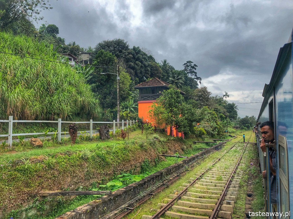 Sri Lanka, Colombo, co zobaczyć na Sri Lance, sari, powody by zobaczyć na Sri Lankę