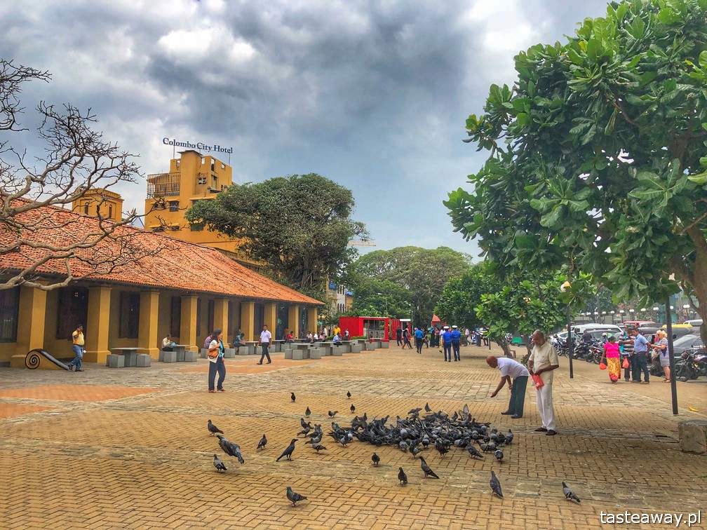 Sri Lanka, Colombo, co zobaczyć na Sri Lance, sari, powody by zobaczyć na Sri Lankę