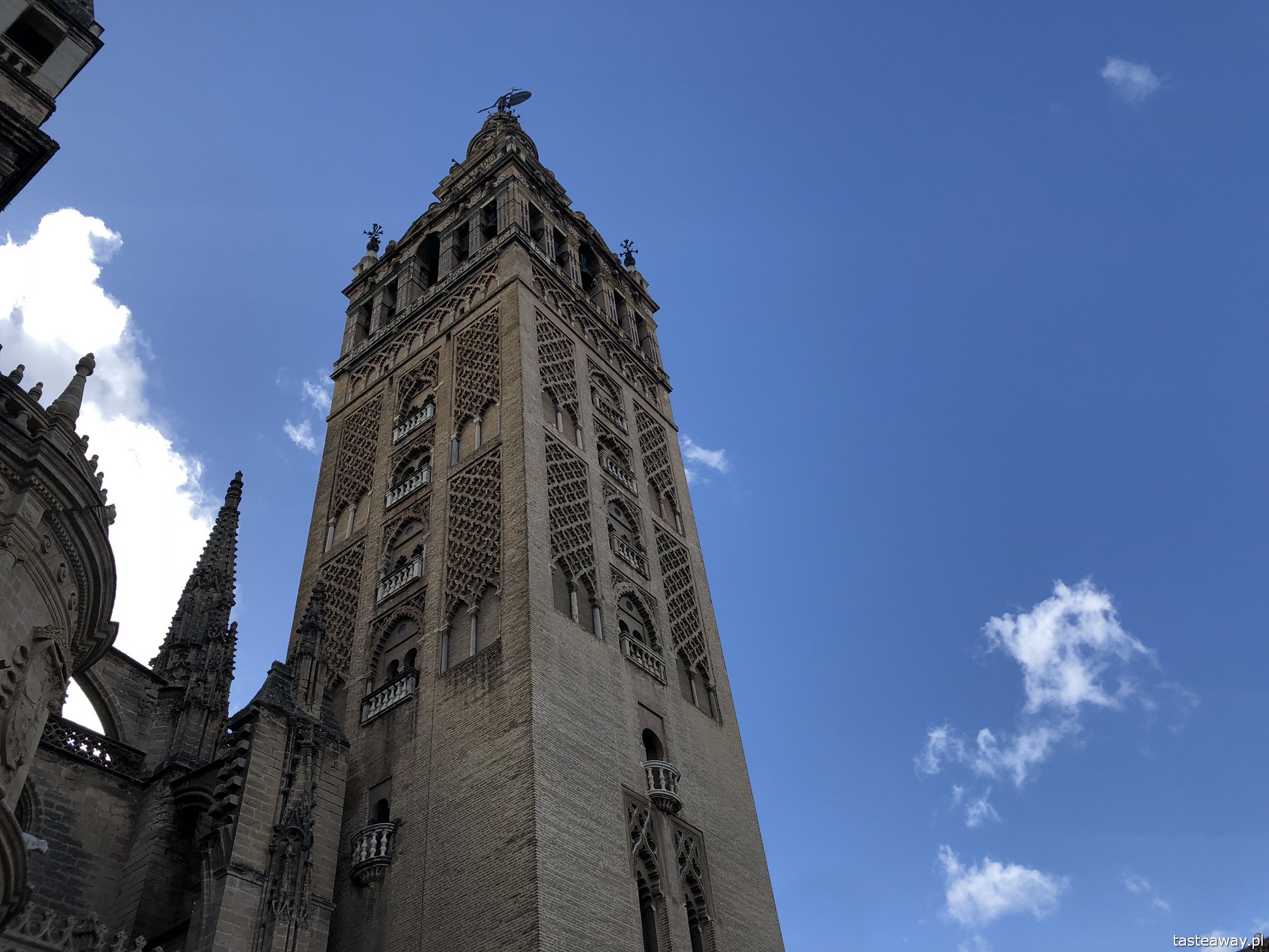 Sewilla, Sevilla, co zobaczyć w Sewilli, Sevilla w jeden dzień, Andaluzja, miasta Hiszpanii, spacer po Sevilli, Torre del Oro, Giralda