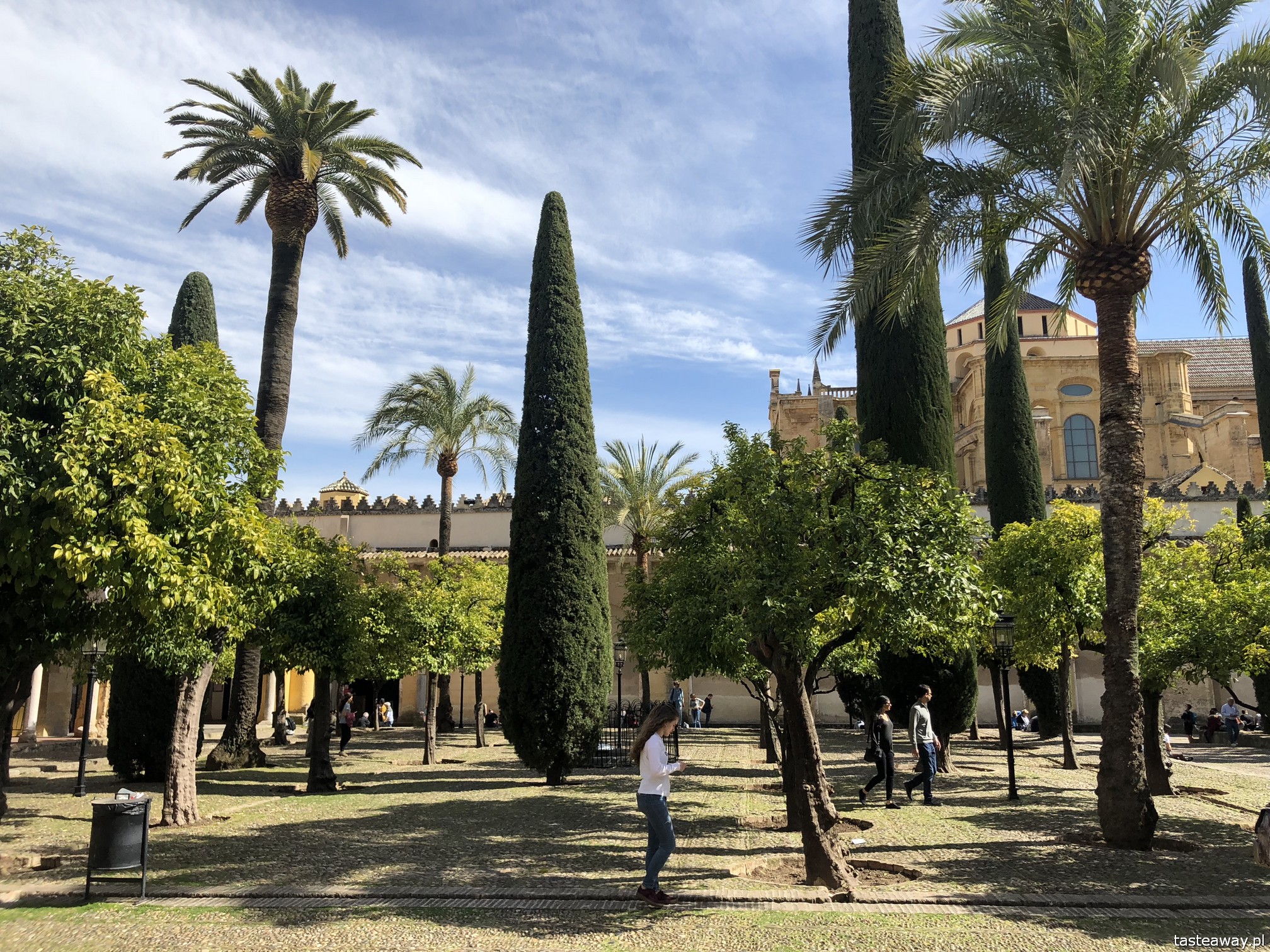 Kordoba, co zobaczyć w Kordobie, Cordoba, Andaluzja, co zobaczyć w Andaluzji, Andaluzja, La Mezquita, Patio de los Naranjos