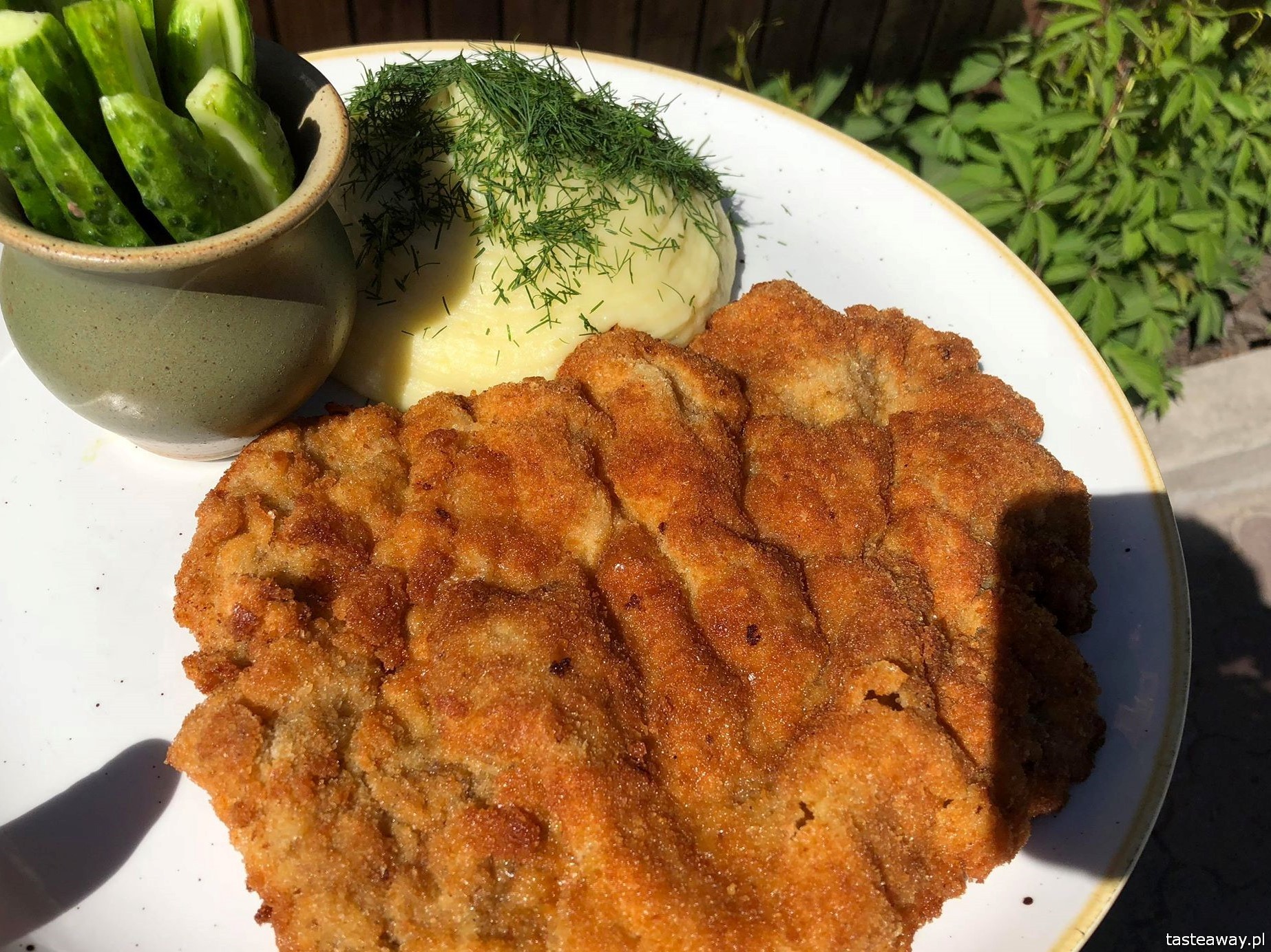 Karczma pod Sokołem, Sokółka, Podlasie, gdzie jeść na Podlasiu, kuchnia polska, kuchnia tradycyjna, Ancypo, Łukasz Ancypo, schabowy, najlepsza polska kuchnia, najlepszy schabowy