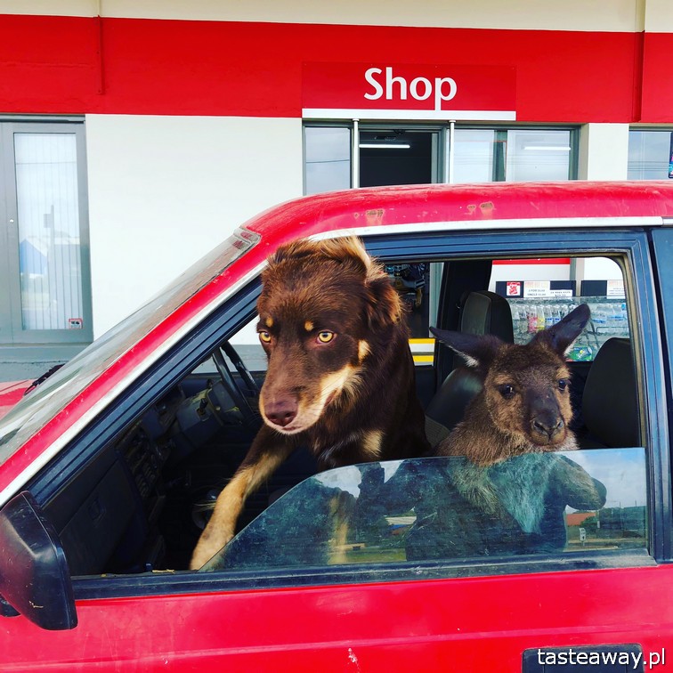 podróże, podróże z dzieckiem, formalności, paszport, o czym pamiętać przed wyjazdem, o czym pamiętać przed wakacjami
