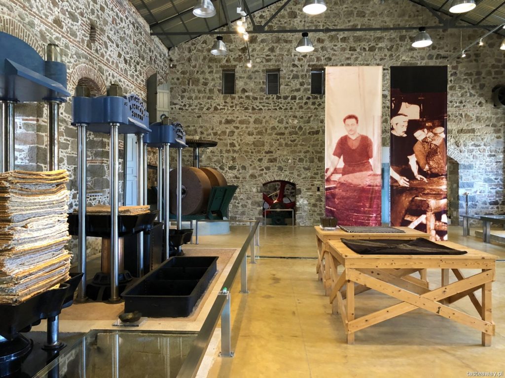 Lesbos, co zobaczyć na Lesbos, Lesbos czy warto, Grecja, wakacje w Grecji, którą grecką wyspę wybrać, Muzeum Oliwy, Agia Paraskevi,