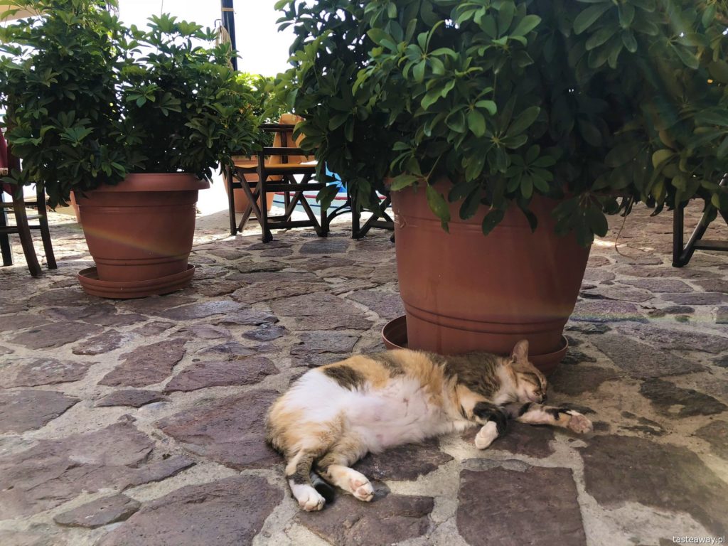 Lesbos, co zobaczyć na Lesbos, Lesbos czy warto, Grecja, wakacje w Grecji, którą grecką wyspę wybrać, Molyvos