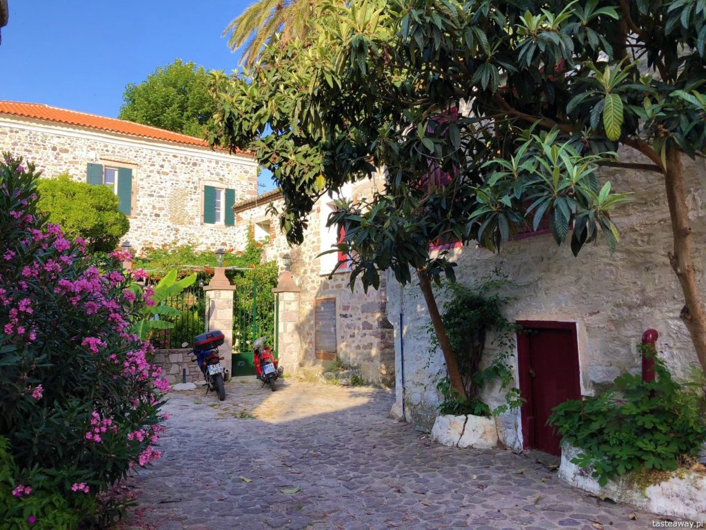 Lesbos, co zobaczyć na Lesbos, Lesbos czy warto, Grecja, wakacje w Grecji, którą grecką wyspę wybrać, Petra