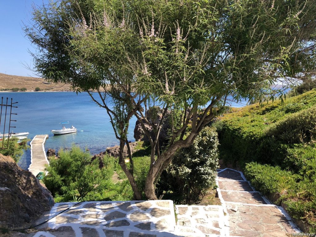 Lesbos, co zobaczyć na Lesbos, Lesbos czy warto, Grecja, wakacje w Grecji, którą grecką wyspę wybrać, Skamieniały Las, Sigri