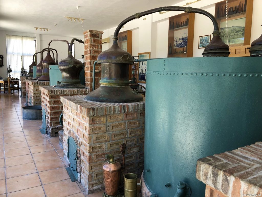 Lesbos, co zobaczyć na Lesbos, Lesbos czy warto, Grecja, wakacje w Grecji, którą grecką wyspę wybrać, plaże na Lesbos, Plomari