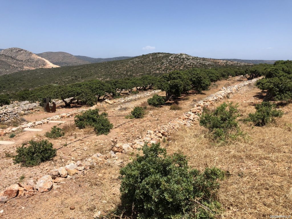 Chios, co zobaczyć na Chios, greckie wyspy, którą grecką wyspę wybrać, Grecja