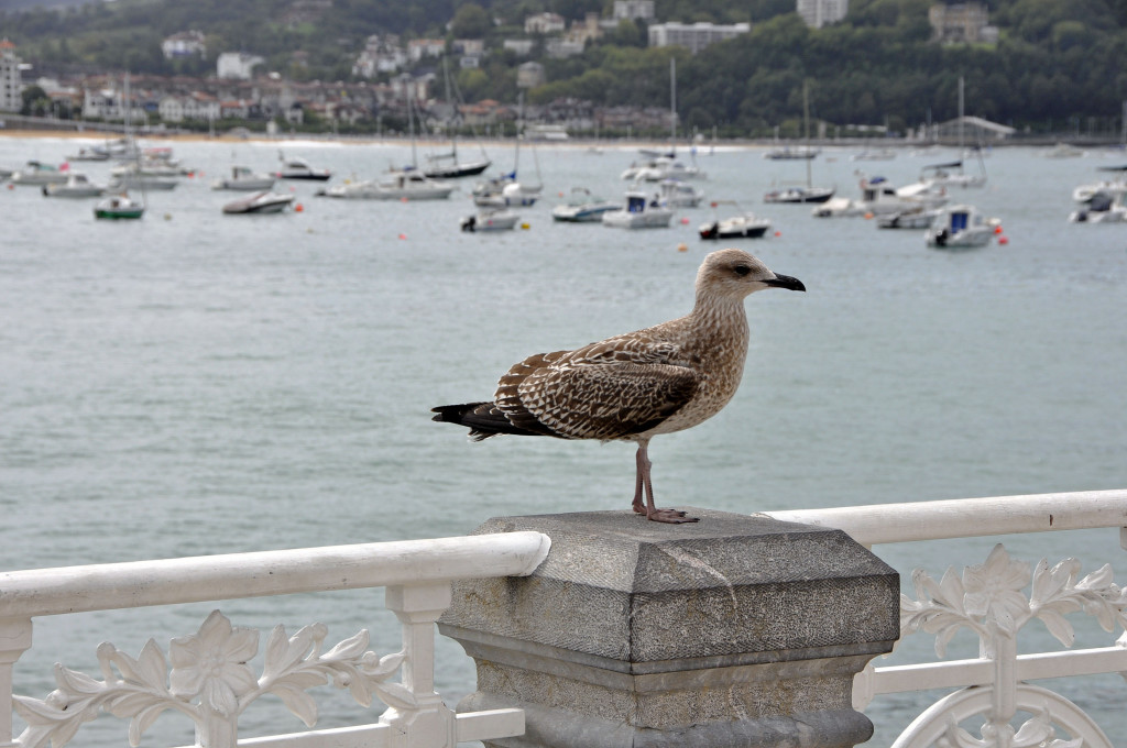San Sebastian