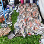 maroko, zabytki, port, Essaouira, owoce morza
