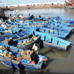 maroko, zabytki, port, Essaouira, owoce morza