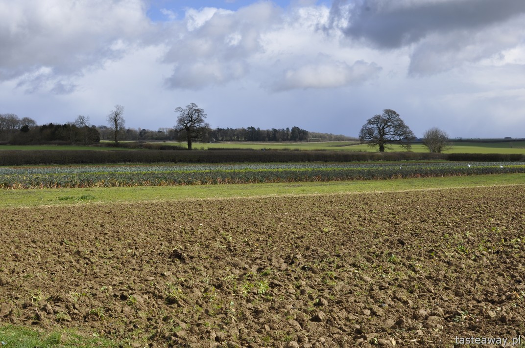 Daylesford Organic Farm, Cookery School, Farmshop, Cotswold, 