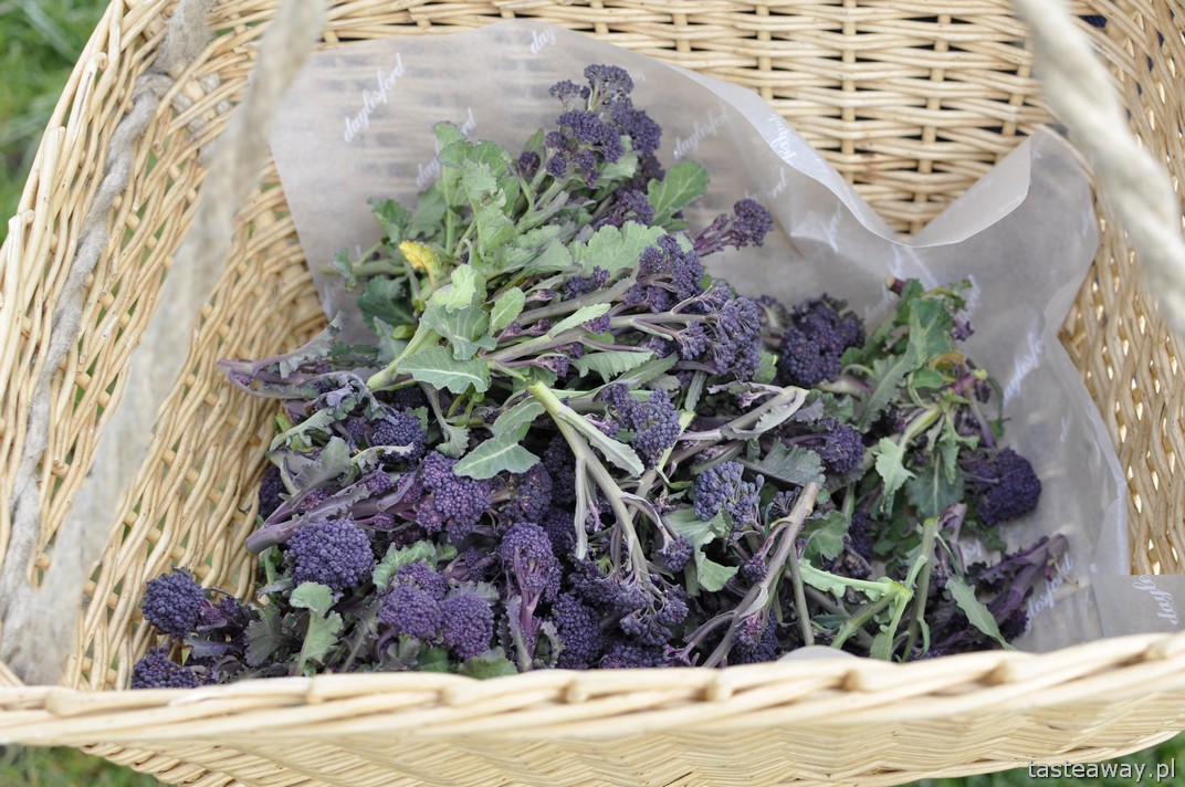 Daylesford Organic Farm, Cookery School, Farmshop, Cotswold, fioletowe brokuły